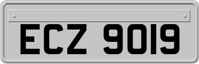 ECZ9019