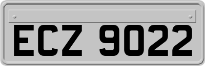 ECZ9022