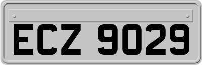 ECZ9029