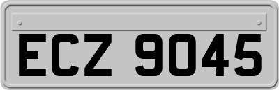 ECZ9045