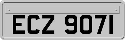 ECZ9071