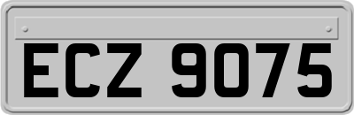 ECZ9075