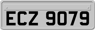 ECZ9079