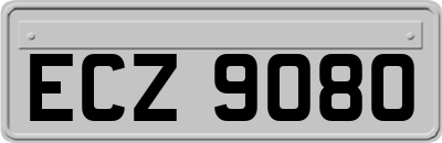 ECZ9080