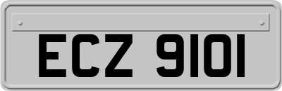 ECZ9101