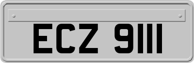 ECZ9111