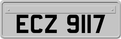 ECZ9117