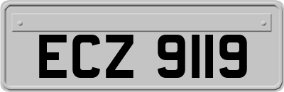 ECZ9119