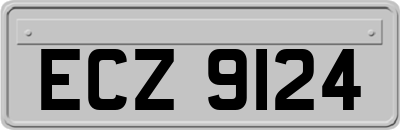 ECZ9124