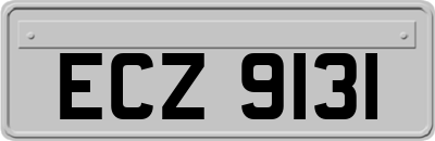 ECZ9131