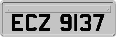ECZ9137
