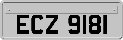 ECZ9181