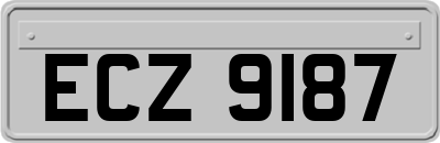 ECZ9187