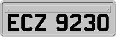 ECZ9230