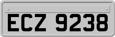 ECZ9238