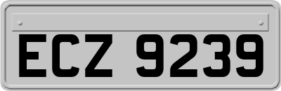 ECZ9239