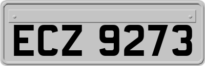 ECZ9273