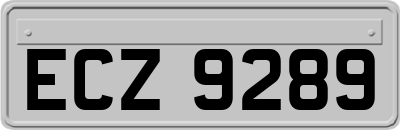 ECZ9289