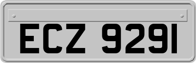 ECZ9291