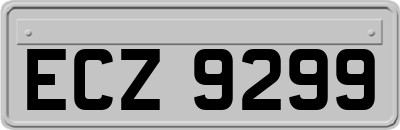 ECZ9299