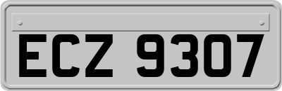 ECZ9307
