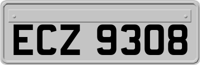 ECZ9308