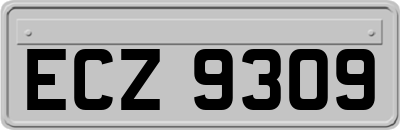 ECZ9309