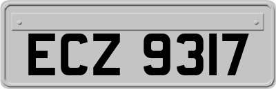 ECZ9317