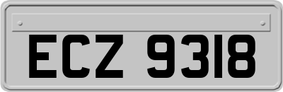 ECZ9318