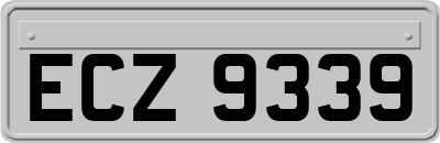 ECZ9339