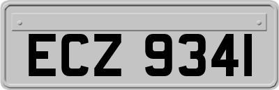 ECZ9341