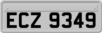 ECZ9349