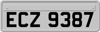 ECZ9387