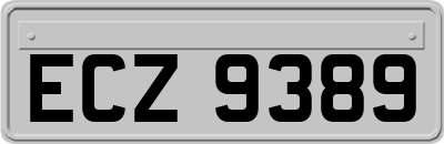 ECZ9389