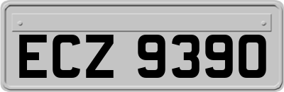 ECZ9390