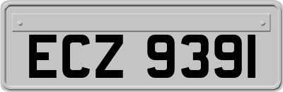 ECZ9391