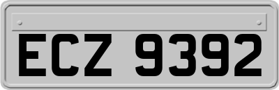 ECZ9392