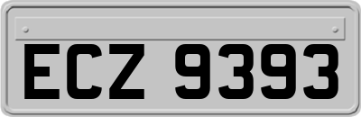 ECZ9393