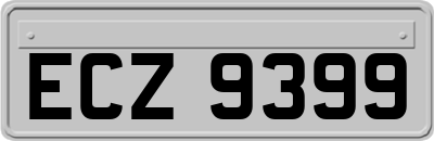 ECZ9399