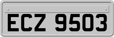 ECZ9503