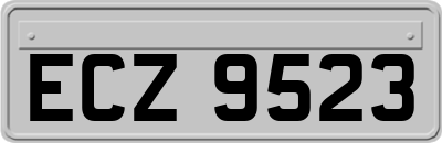 ECZ9523