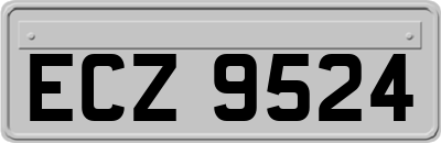 ECZ9524