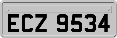ECZ9534