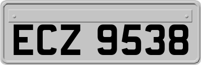 ECZ9538