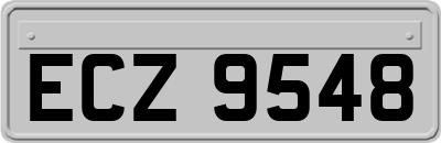 ECZ9548