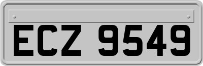 ECZ9549