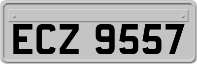 ECZ9557