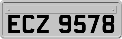 ECZ9578