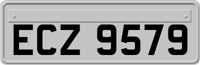 ECZ9579