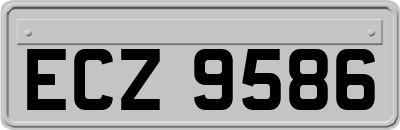 ECZ9586